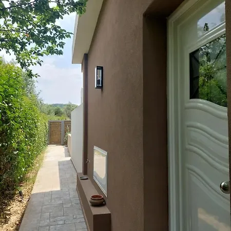 Zante Flower Studios & Apartments Alykanas  Exterior photo
