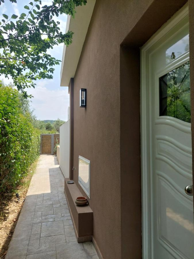 Zante Flower Studios&apartments Apartment *